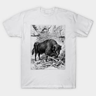 Bison Wildlife Illustration T-Shirt